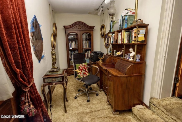 office area featuring light colored carpet