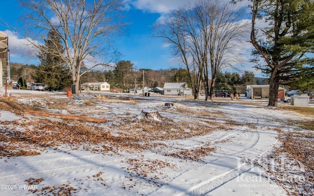 view of yard covered in snow