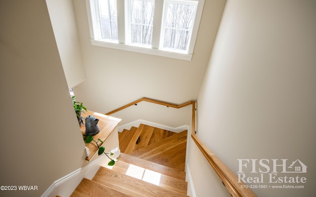 576 Laporte Ave, Eagles Mere, PA 17731 - photo 37