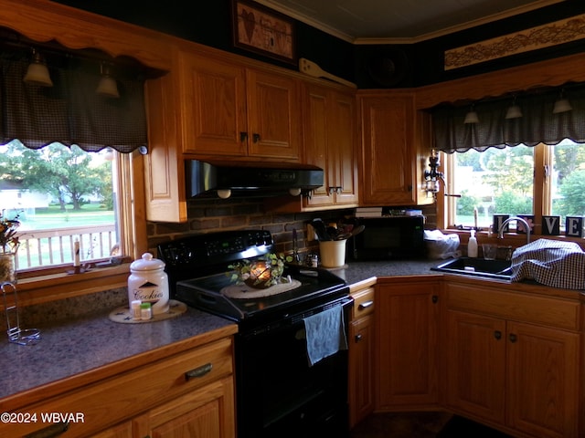 kitchen with black appliances, ornamental molding, and sink