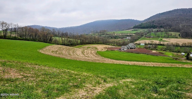 Crescent Hill Rd, Cogan Station, PA 17728