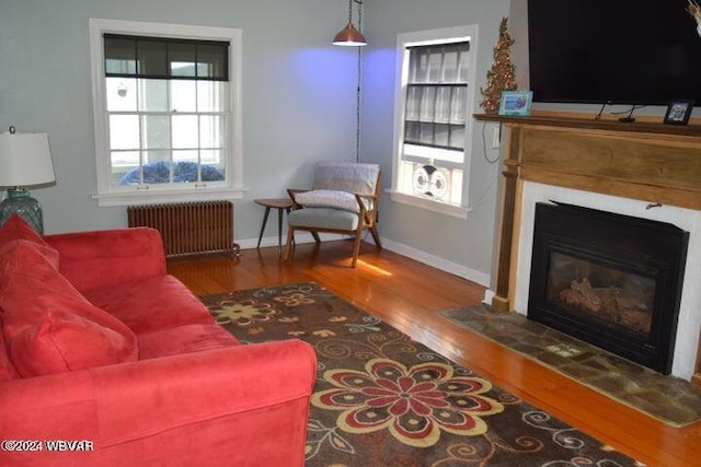 living room with radiator and hardwood / wood-style floors