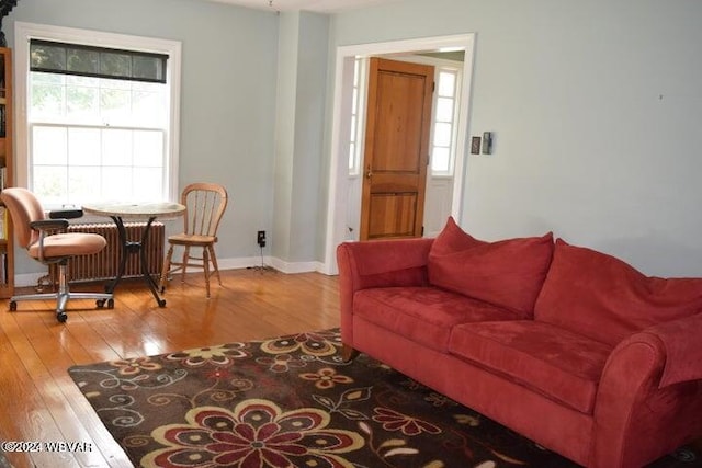 living room with hardwood / wood-style flooring