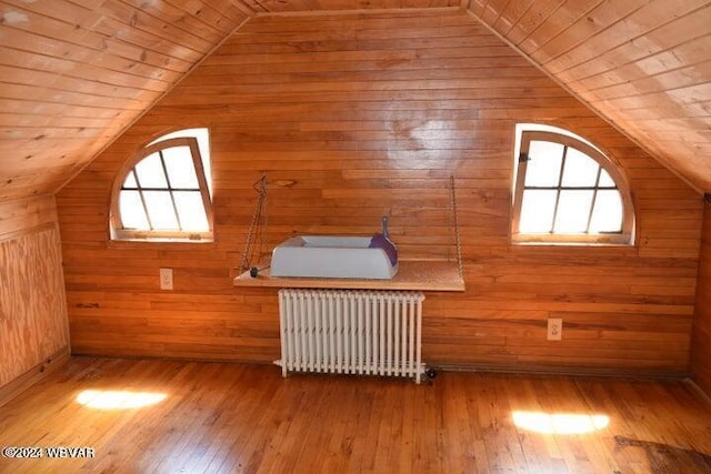 additional living space featuring wooden walls, a healthy amount of sunlight, wooden ceiling, and radiator