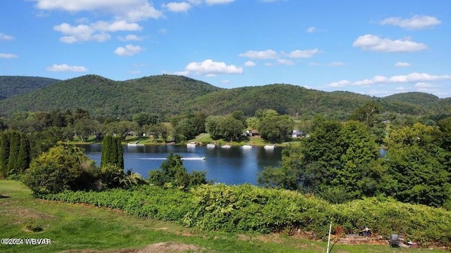 view of water feature with a mountain view