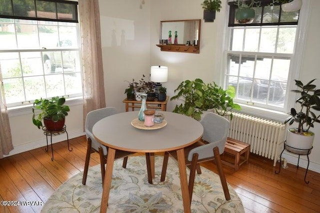 dining space featuring light hardwood / wood-style flooring, a healthy amount of sunlight, and radiator heating unit