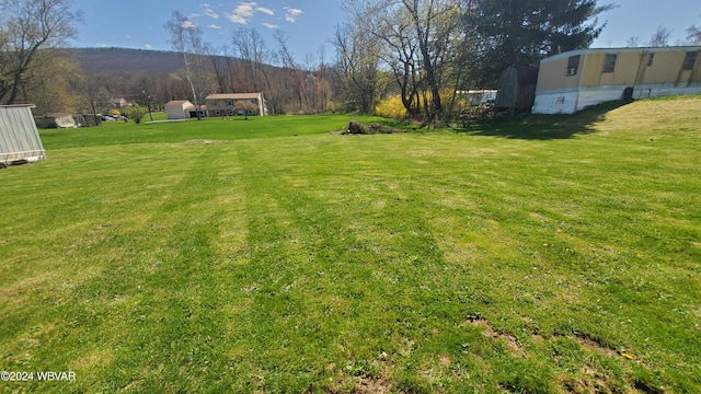 view of yard featuring a mountain view