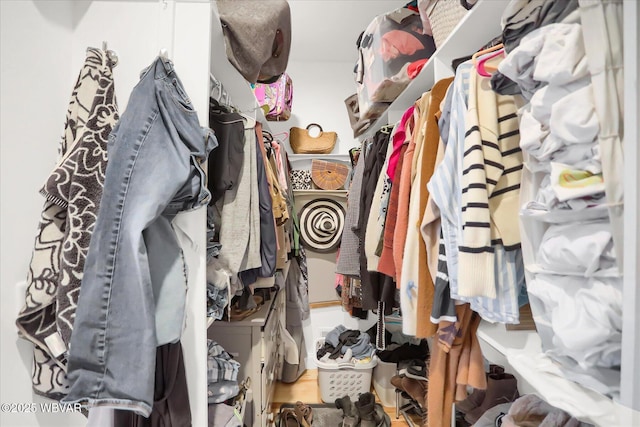 view of spacious closet