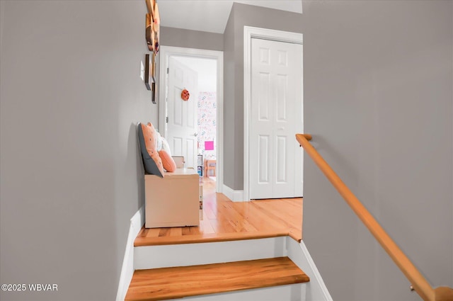 stairway featuring wood-type flooring