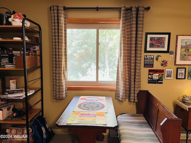 dining room featuring carpet and a healthy amount of sunlight