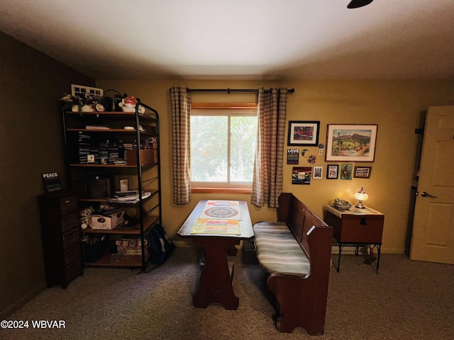 dining room with carpet