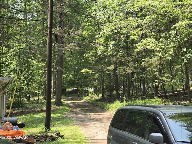 631 Mill Hill Rd, Cogan Station, PA 17728 - photo 29