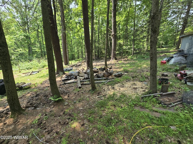 631 Mill Hill Rd, Cogan Station, PA 17728 - photo 48