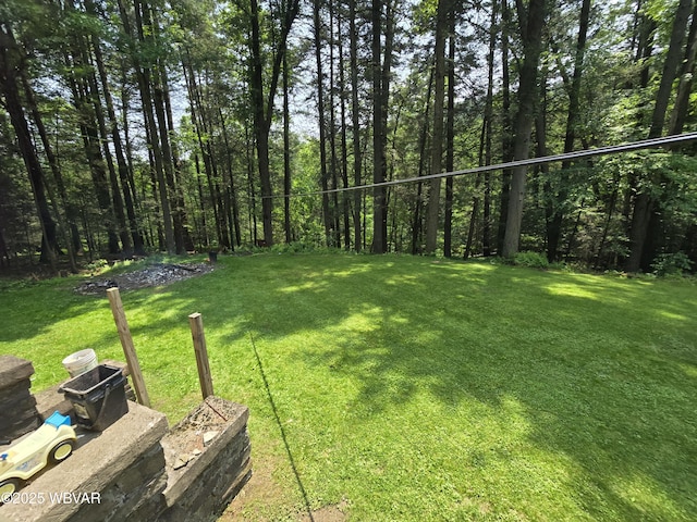 631 Mill Hill Rd, Cogan Station, PA 17728 - photo 35