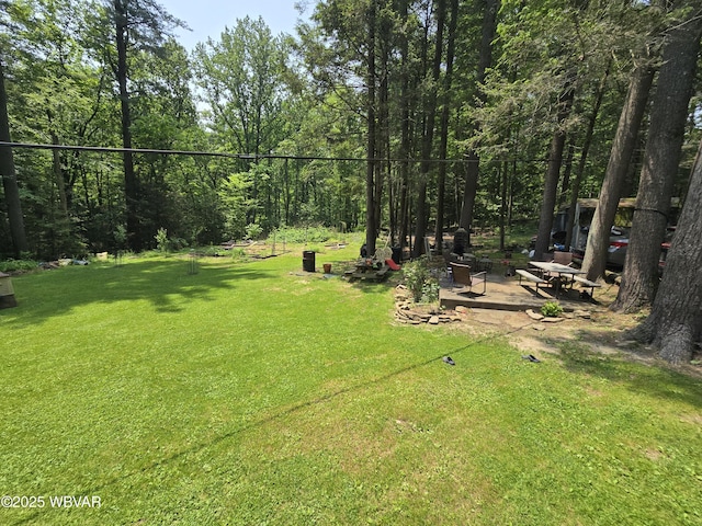 631 Mill Hill Rd, Cogan Station, PA 17728 - photo 33