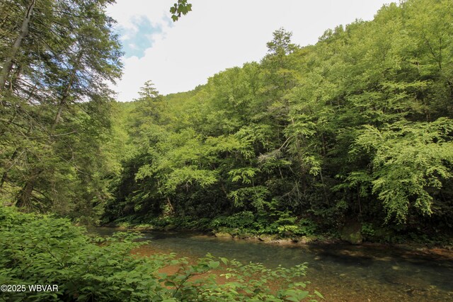 486 Mcintyre Way, Cogan Station, PA 17728 - view of wooded area