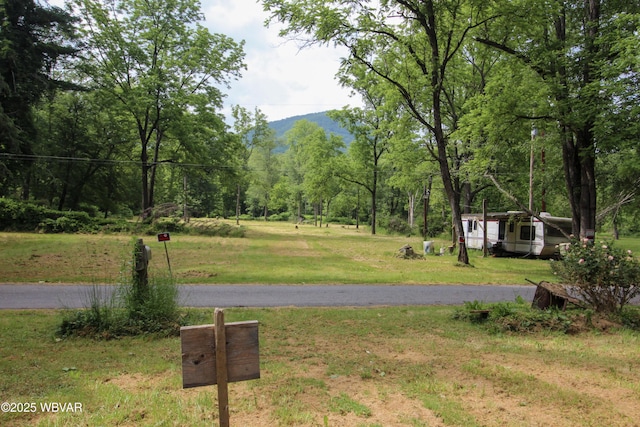 486 Mcintyre Way, Cogan Station, PA 17728 - view of green lawn featuring a view of trees