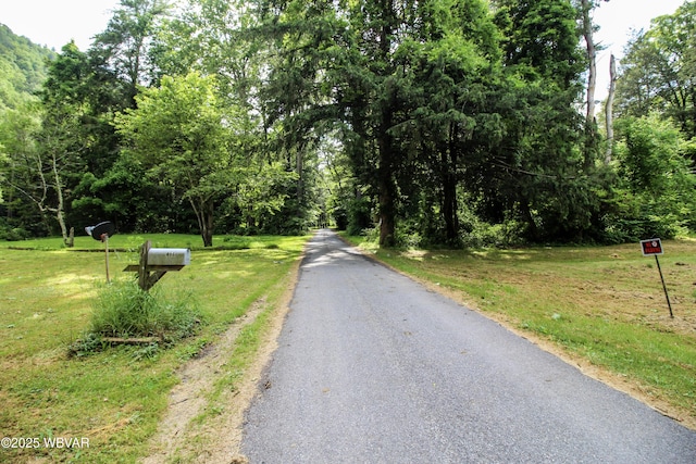 486 Mcintyre Way, Cogan Station, PA 17728 - view of road