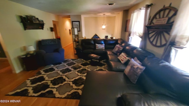 living room featuring hardwood / wood-style floors