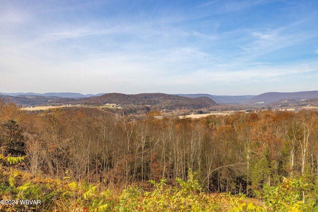 property view of mountains