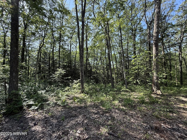 978 Mount Tom Ln, Wellsboro, PA 16901 - photo 16