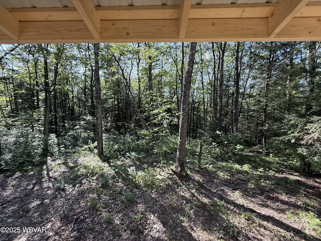 978 Mount Tom Ln, Wellsboro, PA 16901 - photo 12