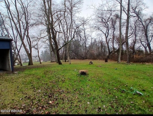 view of yard