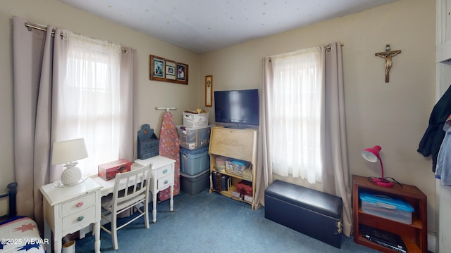 bedroom featuring carpet flooring