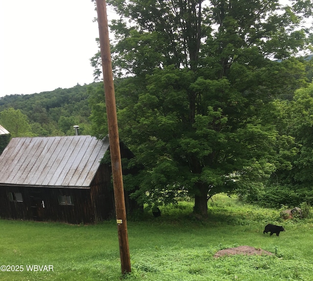 view of yard featuring an outbuilding and a wooded view