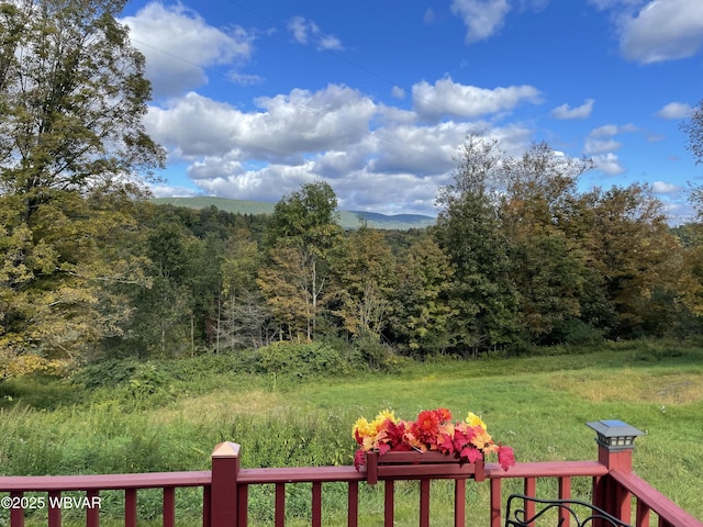 view of yard featuring a forest view