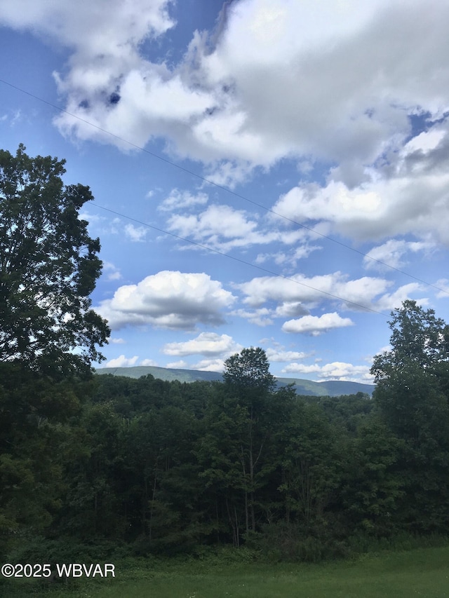 view of mountain feature with a forest view