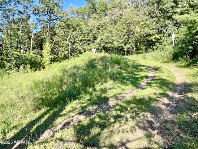 PARCEL0045-F Locust Ln, Lock Haven, PA 17745 - photo 6