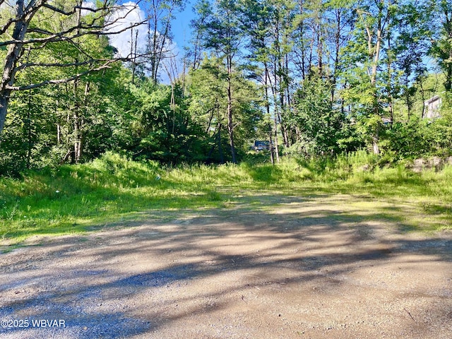 PARCEL0045-F Locust Ln, Lock Haven, PA 17745 - photo 4
