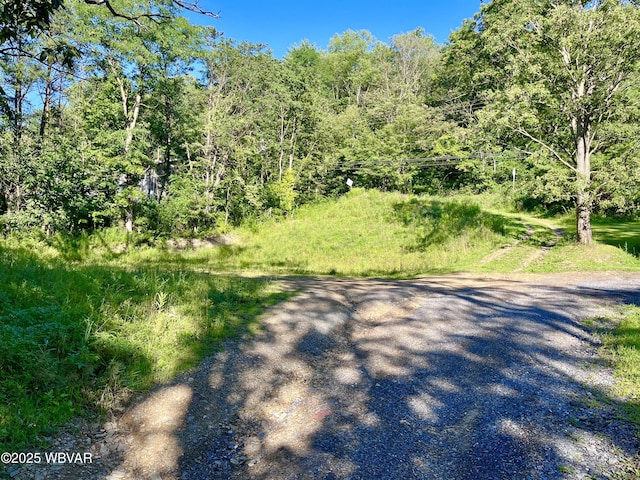 PARCEL0045-F Locust Ln, Lock Haven, PA 17745 - photo 3