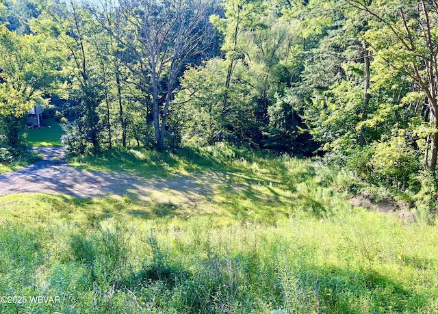 PARCEL0045-F Locust Ln, Lock Haven, PA 17745 - photo 1