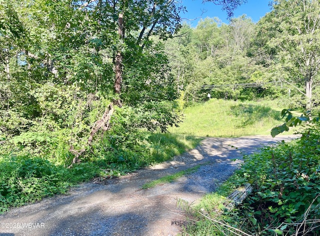 PARCEL0045-F Locust Ln, Lock Haven, PA 17745 - photo 2
