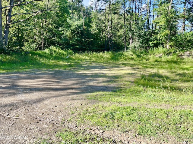 PARCEL0045-F Locust Ln, Lock Haven, PA 17745 - photo 5