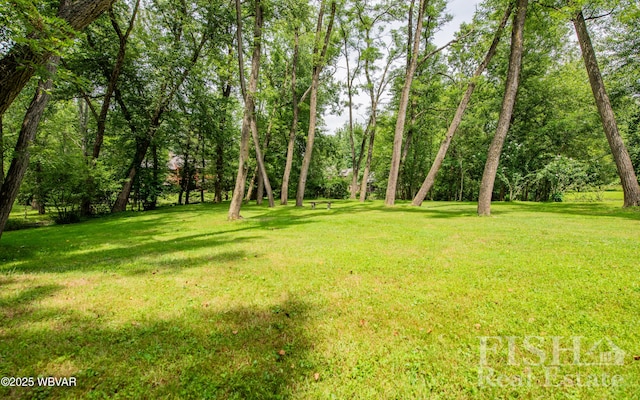 1995 Meadow Ln, Montoursville, PA 17754 - photo 8