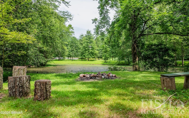 1995 Meadow Ln, Montoursville, PA 17754 - photo 6