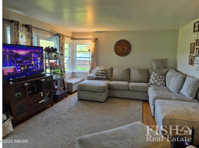 1520 Haagen Ln, Beech Creek, PA 16822 - view of living area