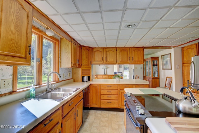 kitchen with stainless steel appliances, sink, and a healthy amount of sunlight