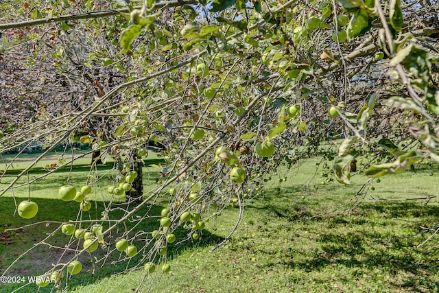 view of landscape