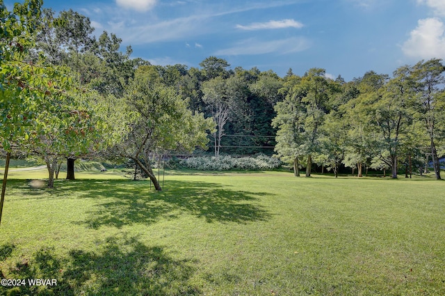 view of community featuring a yard