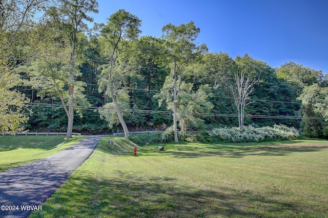 view of property's community featuring a yard