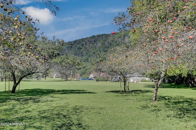 exterior space with a mountain view and a yard