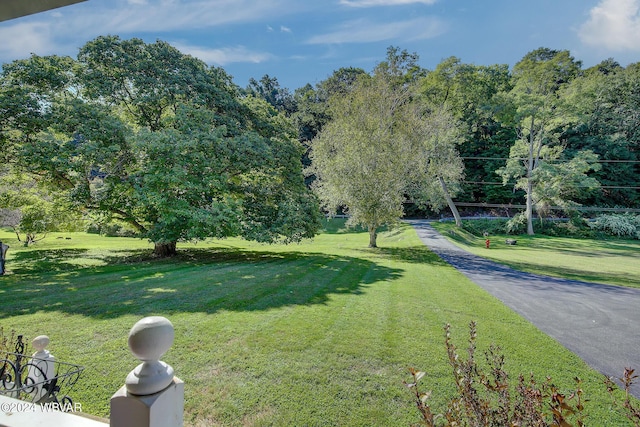 view of community with a lawn