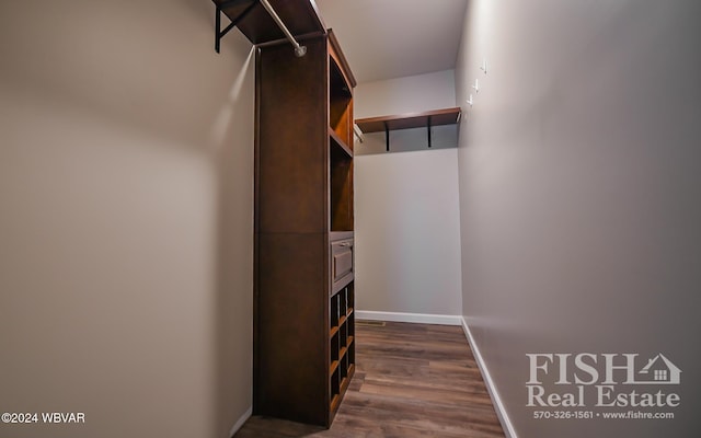 spacious closet with dark hardwood / wood-style floors