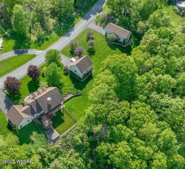 aerial view of property's location