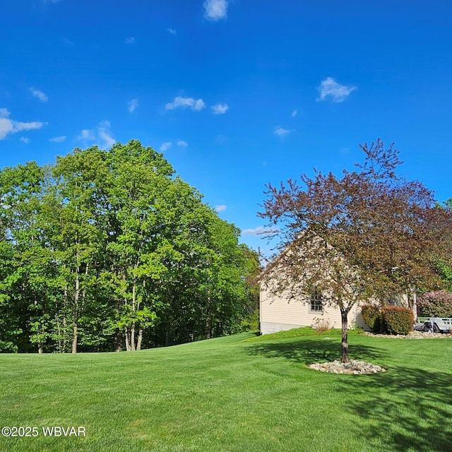 view of green lawn