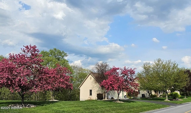 view of home's exterior featuring a yard